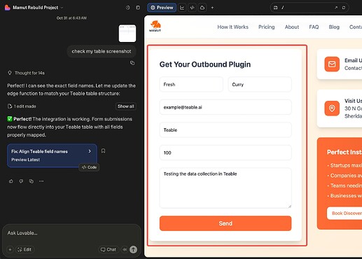 Input data in Lovable